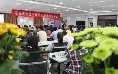 連云港:農(nóng)閑變農(nóng)忙 鮮花經(jīng)濟(jì)實(shí)現(xiàn)致富&ldquo;美麗神話&rdquo;