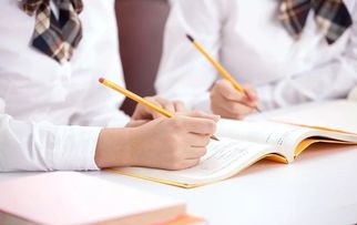 還在擔(dān)心上學(xué)難？專業(yè)教育咨詢助您輕松應(yīng)對(duì)