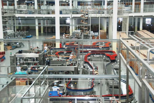 匠心鑄精品 質量強佛山 九 打造美味王國,這瓶醬油不簡單